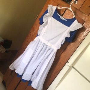 Alice in wonderland costume 2XL